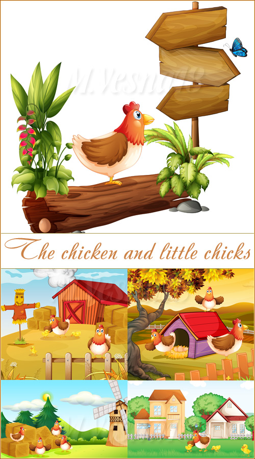    ,   /The chicken and her little chicks, images stock vector