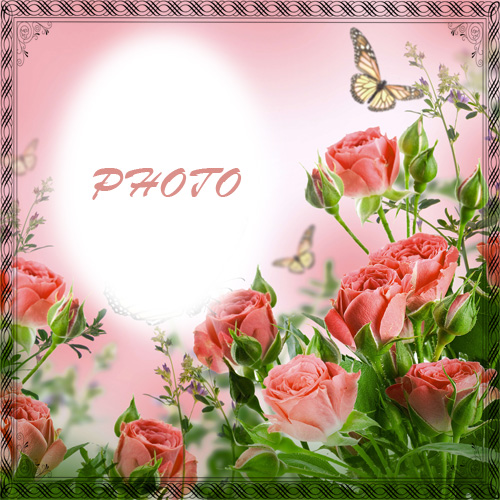 Рамка для фотографии - Весенние розы для тебя