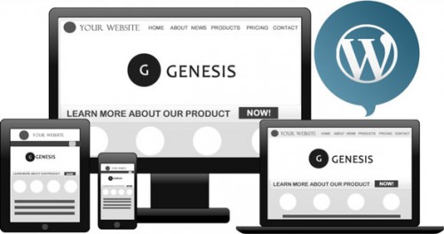 Nulled Genesis Framework v2.5.0 - WordPress Theme product snapshot