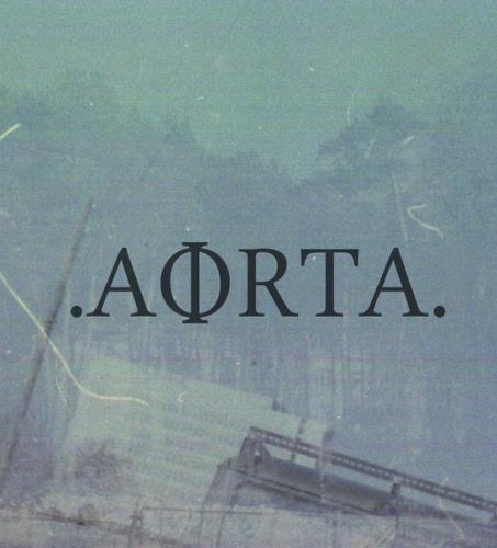 .aorta. - MMXIII (2013)