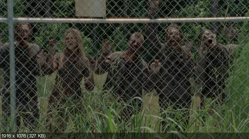   / The Walking Dead (2013) S04E01-10 1080p WEB-DL