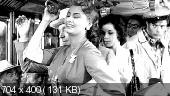 Жаль, что ты каналья / Peccato che sia una canaglia (1955/DVDRip)