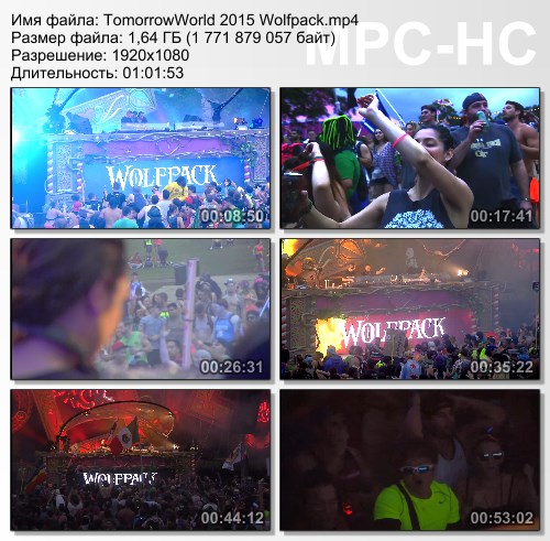 TomorrowWorld 2015 - Wolfpack (HD 1080)